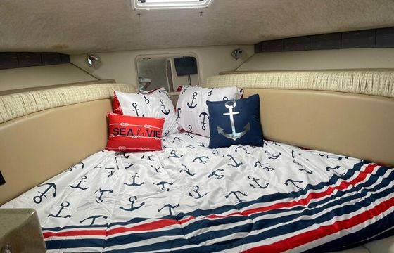 Wellcraft yacht 30 - local cruise to the islands