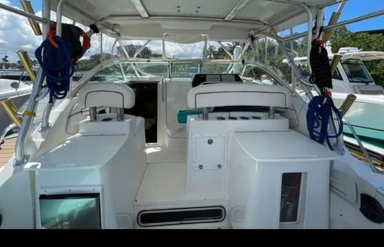 Wellcraft yacht 30 - local cruise to the islands