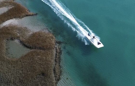 Adventures, sightseeing or fishing with Capt. Jaime on 22' Bay rider