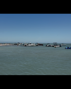 24’ party barge  dolphins, seashells, and private islands for up to 6