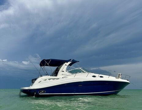 Sea Ray 34ft Sundancer Yacht – Cruise Southwest Florida in Style