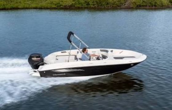 Beautiful Bayliner - Open Bow, Seats 9, Immaculate condition, 115 HP