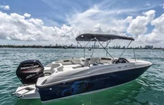 Beautiful Bayliner - Open Bow, Seats 9, Immaculate condition, 115 HP