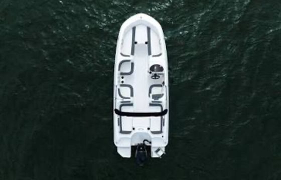 Beautiful Bayliner - Open Bow, Seats 9, Immaculate condition, 115 HP