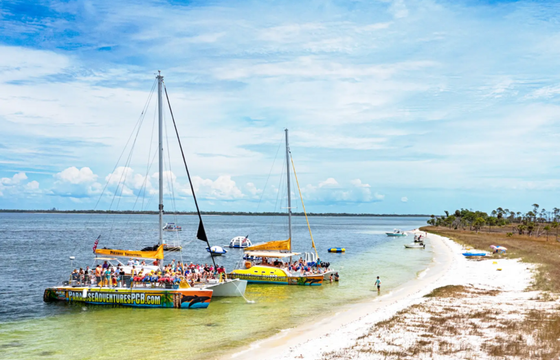Footloose Catamaran Snorkel and Dolphin Cruise
