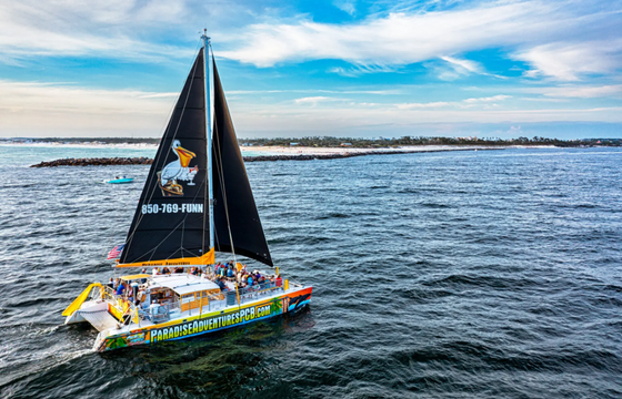 Footloose Catamaran Snorkel and Dolphin Cruise