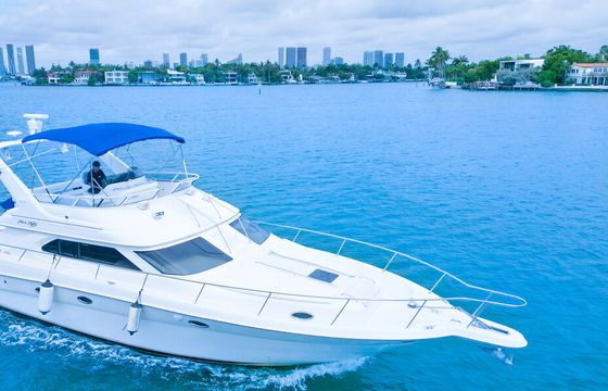 51ft Sea Ray Flybridge – Luxury Yacht Charter | Captain Included