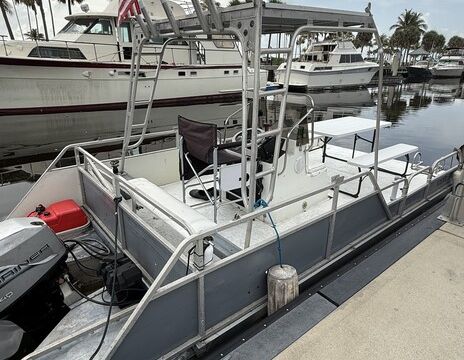 Pontoon Boat - fish - swim - sunbathe