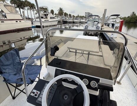 Pontoon Boat - fish - swim - sunbathe