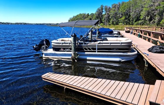 Scenic Pontoon Ride on Lake Tarpon – Wildlife & Sunset Cruise