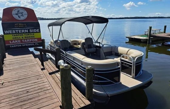 Scenic Pontoon Ride on Lake Tarpon – Wildlife & Sunset Cruise