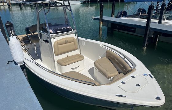 Center Console w/ GPS TRACKS to fishing spots/popular destinations!