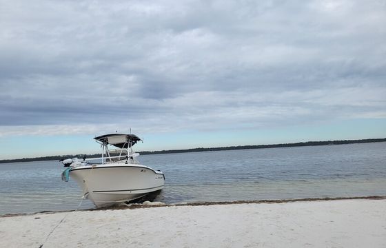 Comfortable for Any Activity- Cruising, Fishing or Play!