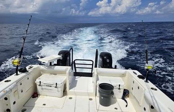 30' Offshore Cat Hull, Perfect for Offshore Fishing!