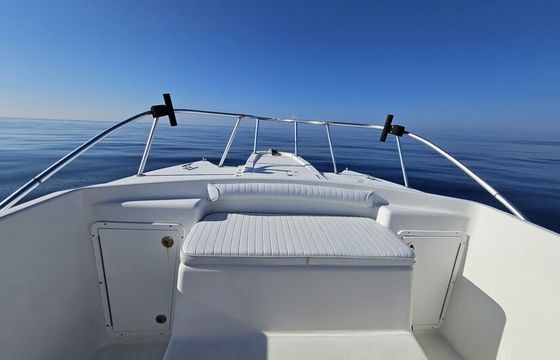 30' Offshore Cat Hull, Perfect for Offshore Fishing!