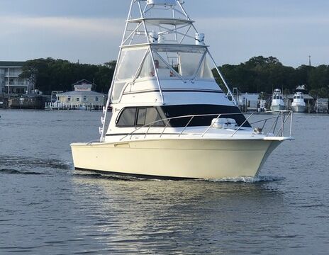 Destin/Ft. Walton Beach: Sportfishing Charters - Big Fish!!