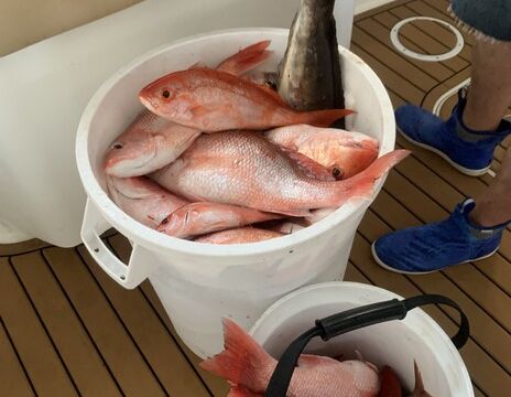 Destin/Ft. Walton Beach: Sportfishing Charters - Big Fish!!