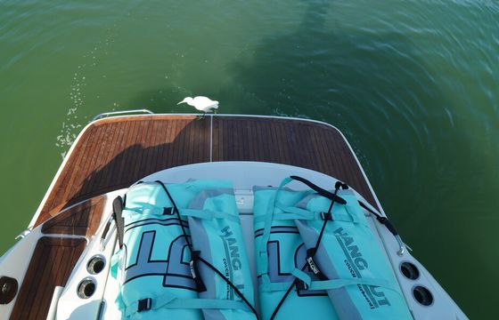 Sea Ray SLX 35ft – Clearwater, Tampa, and St. Pete