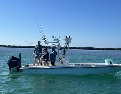 Inshore Fishing Charter