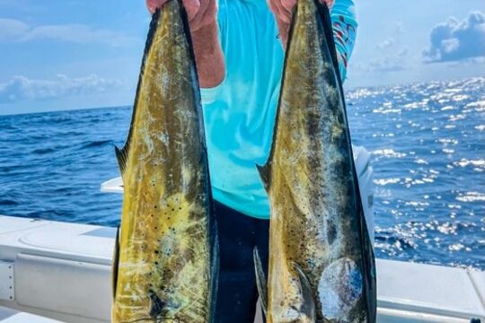 Inshore fishing, nearshore fishing, wreck fishing, reef fishing