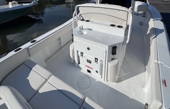Sea Hunt Ultra for Rent Downtown Charleston (up to 9 passengers)
