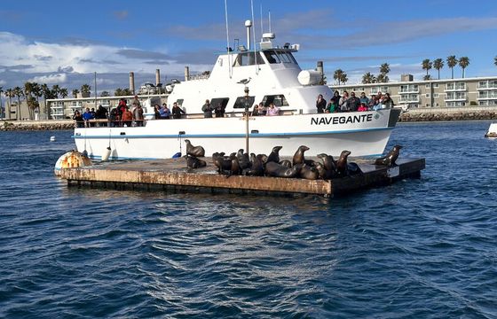 65' Single Deck Sportfisher with Full Galley - 70ppl in Redondo Beach