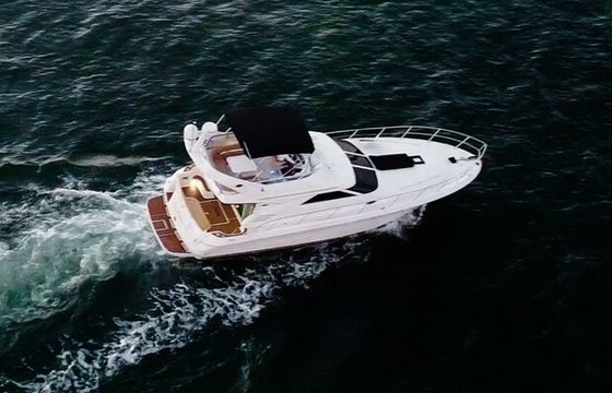 Sea Ray Sedan Bridge 42ft Yacht