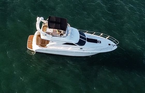 Sea Ray Sedan Bridge 42ft Yacht