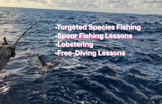 Guided Deep Sea Fishing, Spearfishing, and Lobstering – Ft Lauderdale