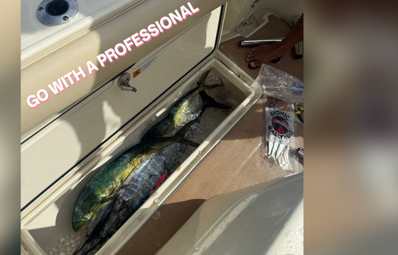 Guided Deep Sea Fishing, Spearfishing, and Lobstering – Ft Lauderdale
