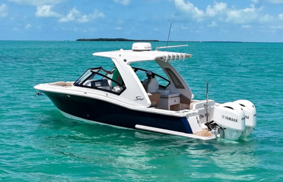 277 Scout- Cruise, Sports and Fish