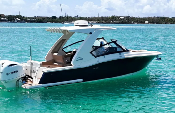 277 Scout- Cruise, Sports and Fish