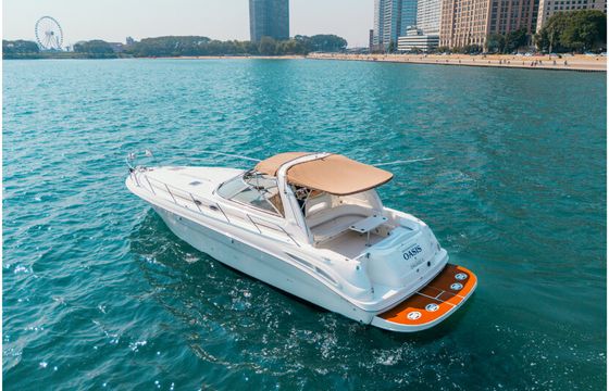 Sea Ray Sundancer 46ft – Chicago Yacht Rental & Playpen Cruise