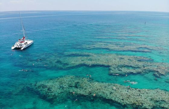 Private Snorkel Charters on 65' Sailing Sandie Catamaran!