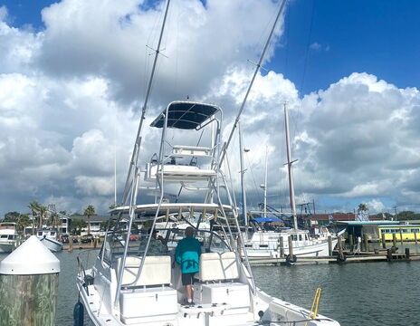 Let's Cruise with Family/Friends, or Fish or You Customize You Time
