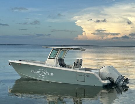 30A Private Charter - Crab Island, Sunset & Dolphin Cruises