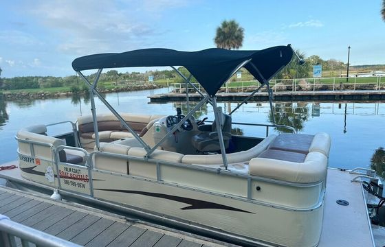 11-Passenger Pontoon – Dolphin Sightings in Daytona Beach