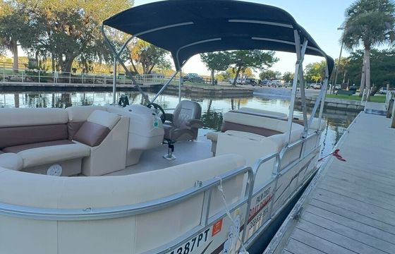 11-Passenger Pontoon – Dolphin Sightings in Daytona Beach