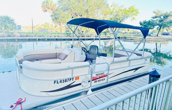 11-Passenger Pontoon – Dolphin Sightings in Daytona Beach