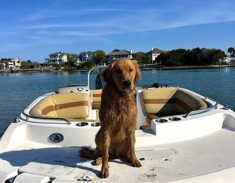 Sporty Sandbar and Island Hopping Deck Boat