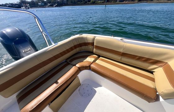 Sporty Sandbar and Island Hopping Deck Boat