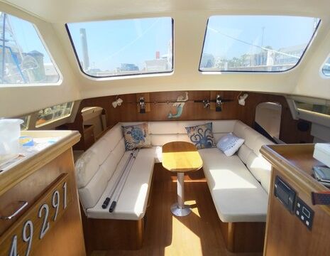 "Seas the Day" sailing excursions