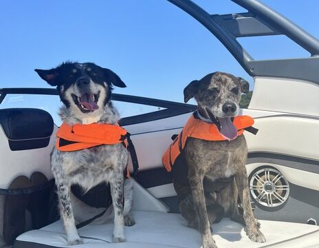 Adventure Awaits: Yamaha 242 with Water Toys