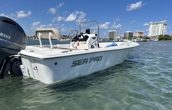 17' Bay Boat — Family-Friendly Fishing & Cruising