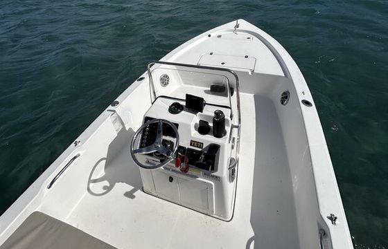 17' Bay Boat — Family-Friendly Fishing & Cruising