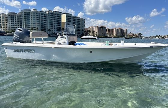 17' Bay Boat — Family-Friendly Fishing & Cruising