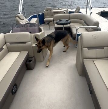 Pontoon Lounge/Fish/Tube/Ski