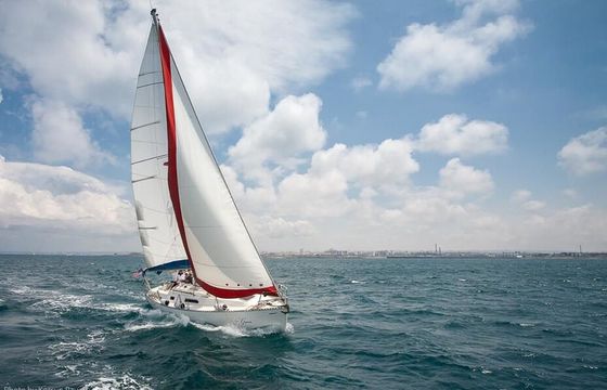 Eternal Summer Sailing