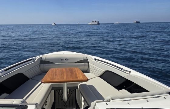 26' Sea Ray SLX 260 Day Cruiser in Los Angeles
