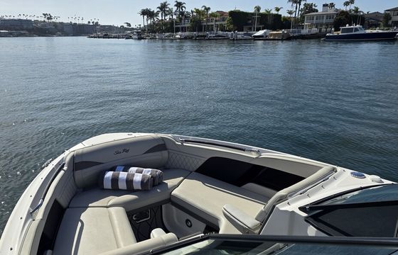26' Sea Ray SLX 260 Day Cruiser in Los Angeles